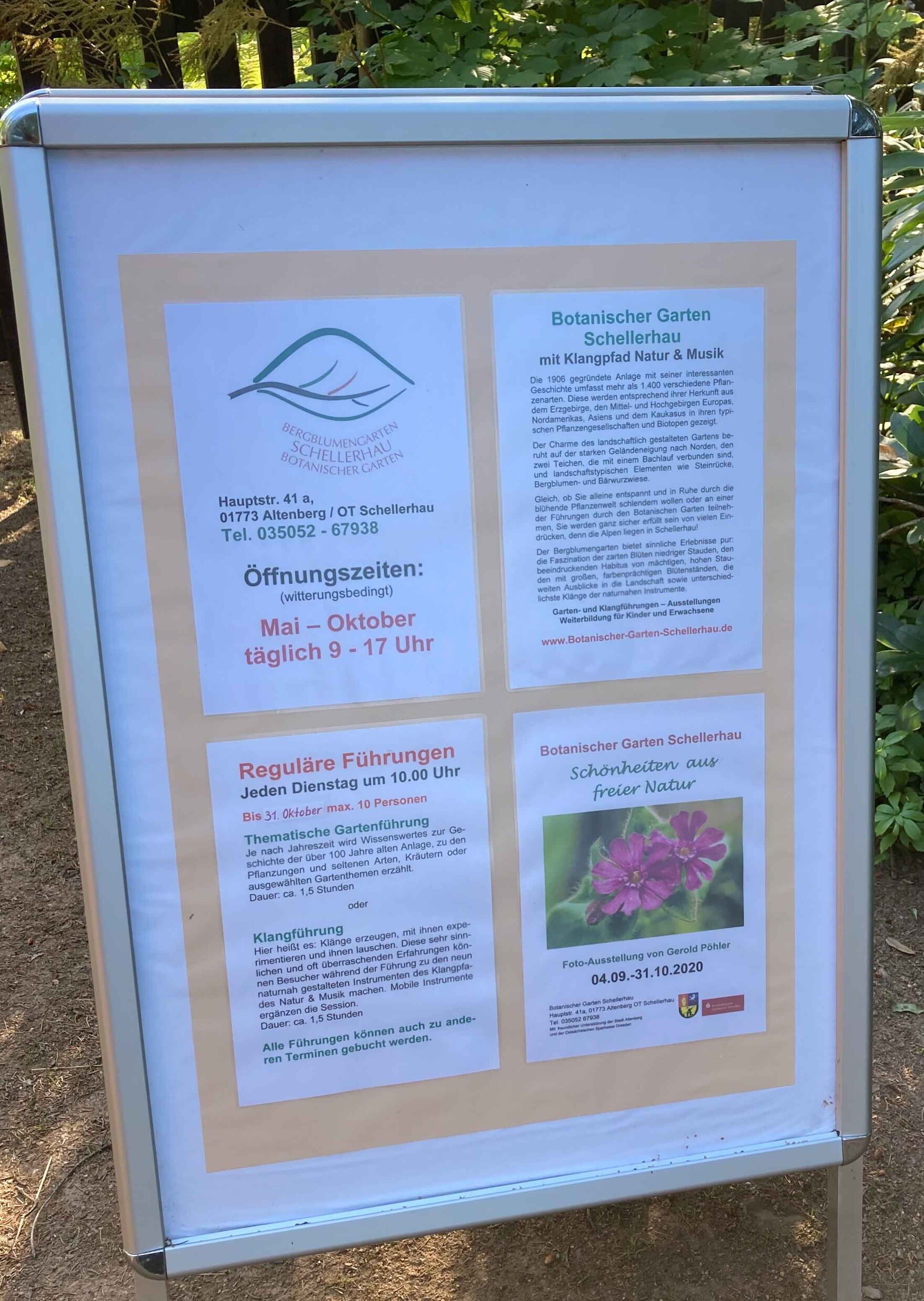 Pflanzenvielfalt Trotz Rauem Klima Botanischer Garten Schellerhau Sachsen De