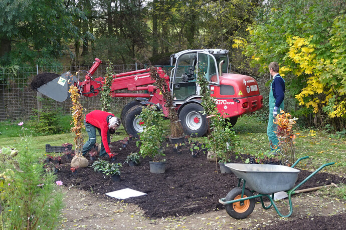 Gartenbaufachschule Pillnitz - Gartenbau - Sachsen.de