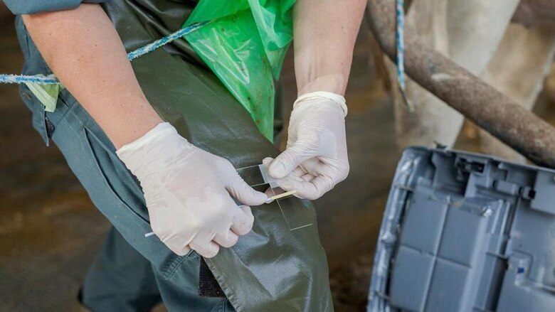 probeentnahme im Stall