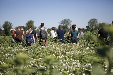 Feldtag Kompetenzzentrum Ökologischer Landbau