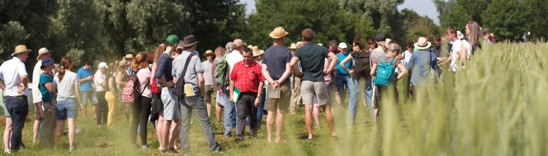 Personen beim Feldtag von hinten mit Getreide unscharf im Vordergrund