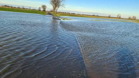 Hochwasser der Elbe