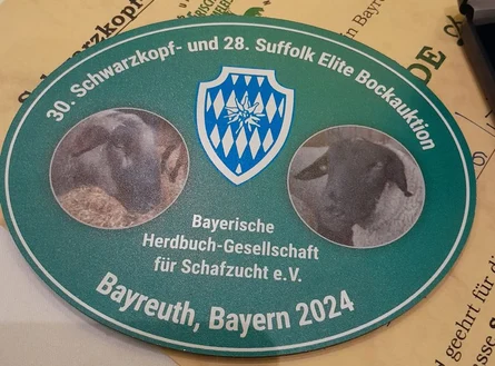 Auf zur zweiten Runde!