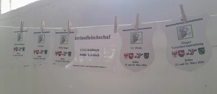 Preise Bockauktion