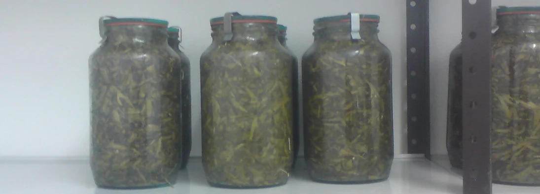 Gläser mit Silageproben in Regal