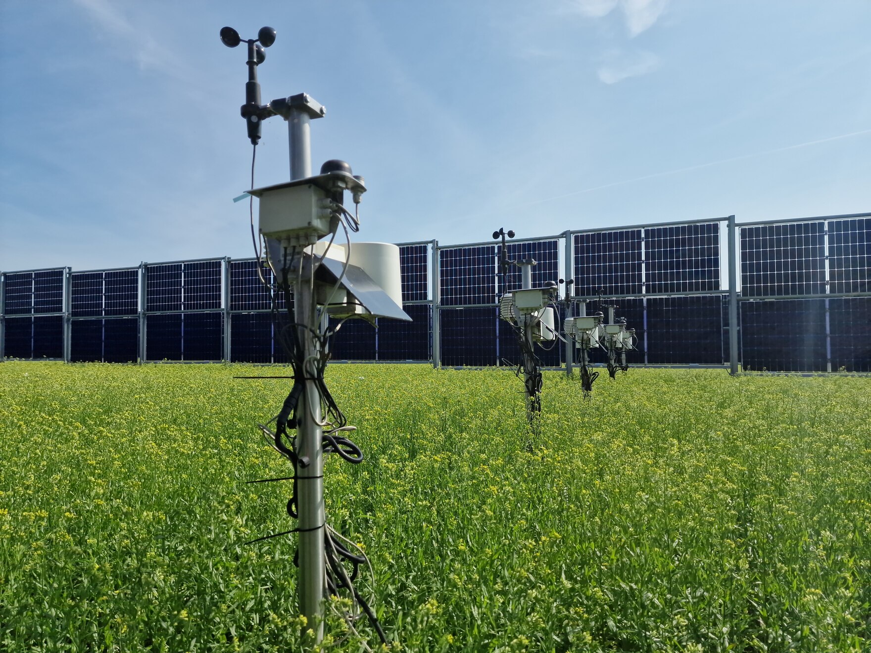 Agri-PV Anlage mit Wetterstation im Vordergrund auf dem Feld