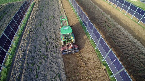 Ein Traktor fährt zwischen 2 vertikalen Solarmodulen auf dem Feld