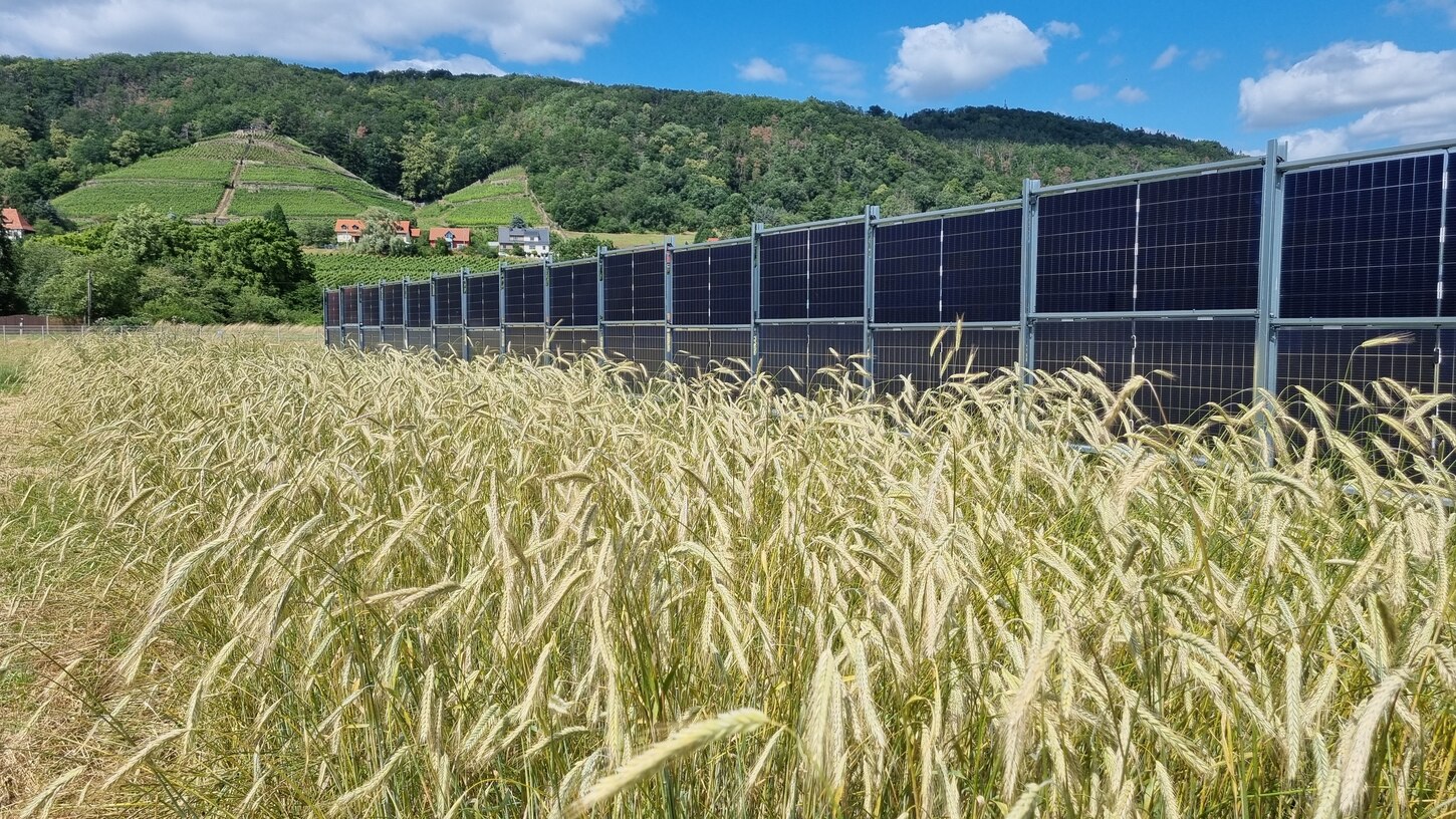 Agri-PV Anlage in Pillnitz