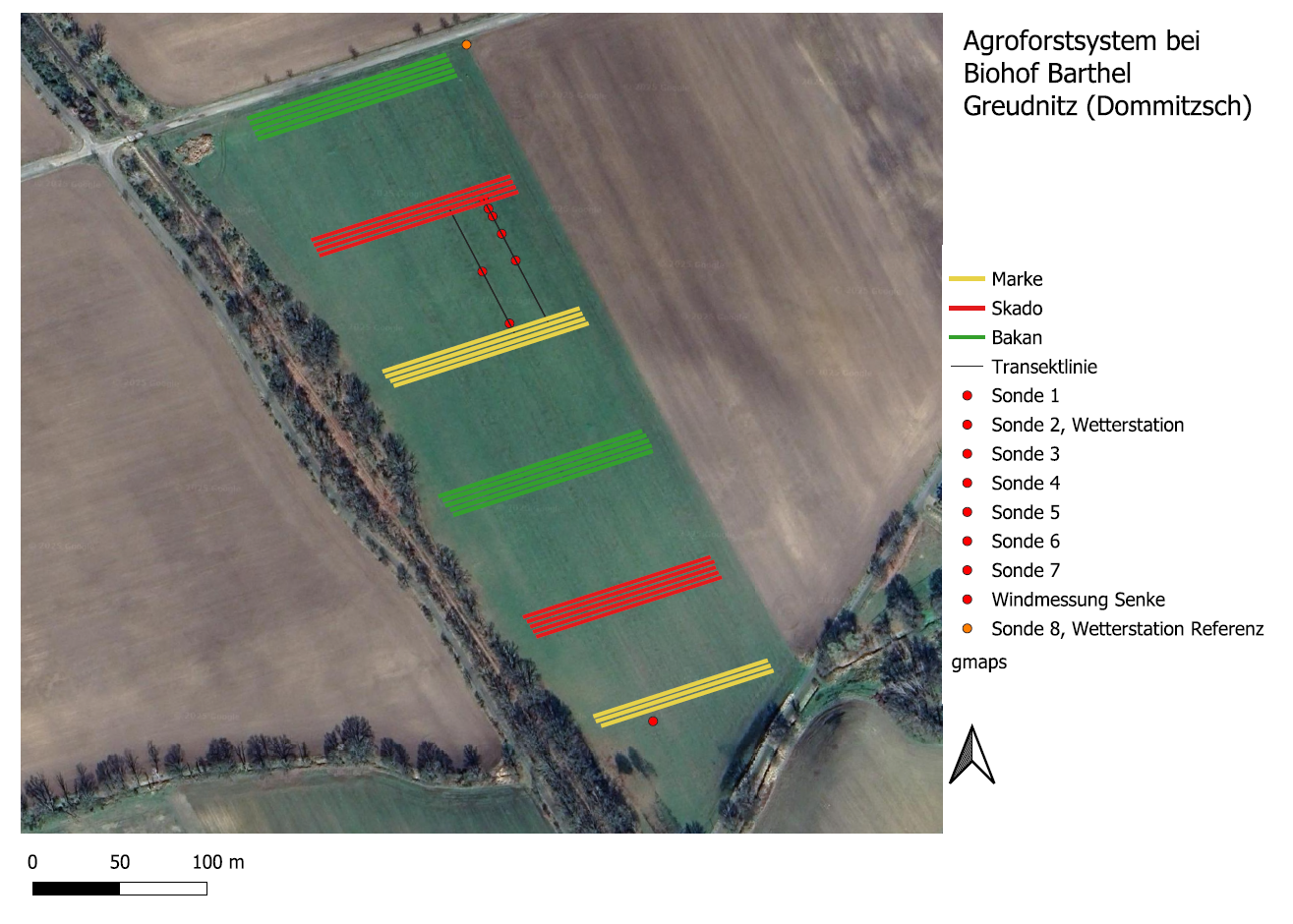 Agroforstfläche_am_Biohof_Barthel