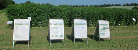 Aufsteller_Feldtag_Hanf_12_06_2025_Pommritz