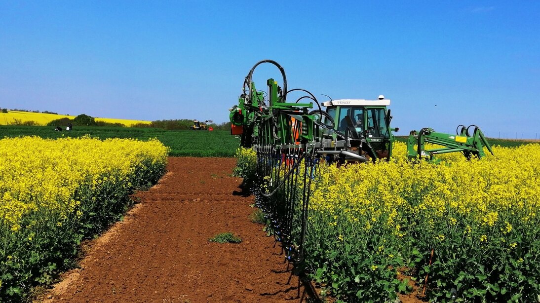Rechtliche Regelungen - Landwirtschaft - sachsen.de