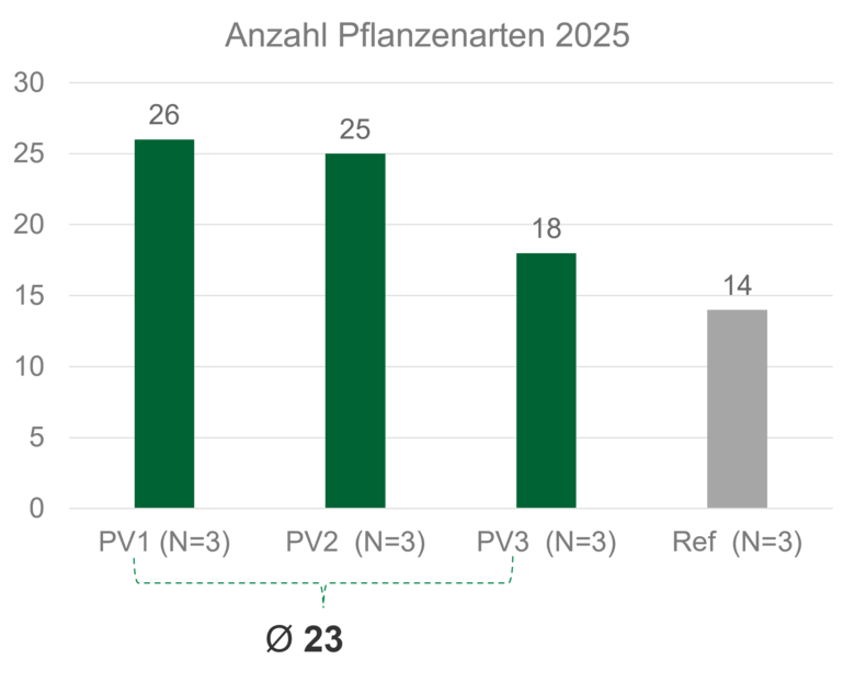 Säulendiagramm Belgeitfloraerfassung Gut Krauscha