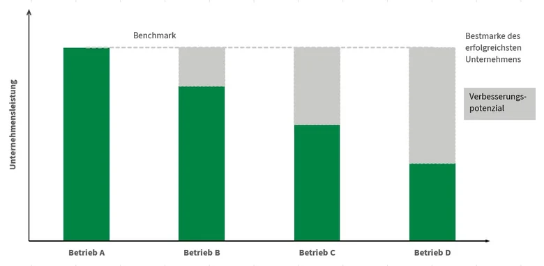 Ein Säulendiagramm zeigt die Bestmarke (Benchmark) eines Betriebes und die Erfolgspotentiale anderer Betriebe im Vergleich.