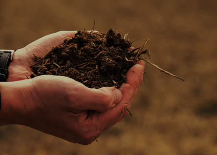 Man sieht zwei Hände, die mit Erde gefüllt sind.
