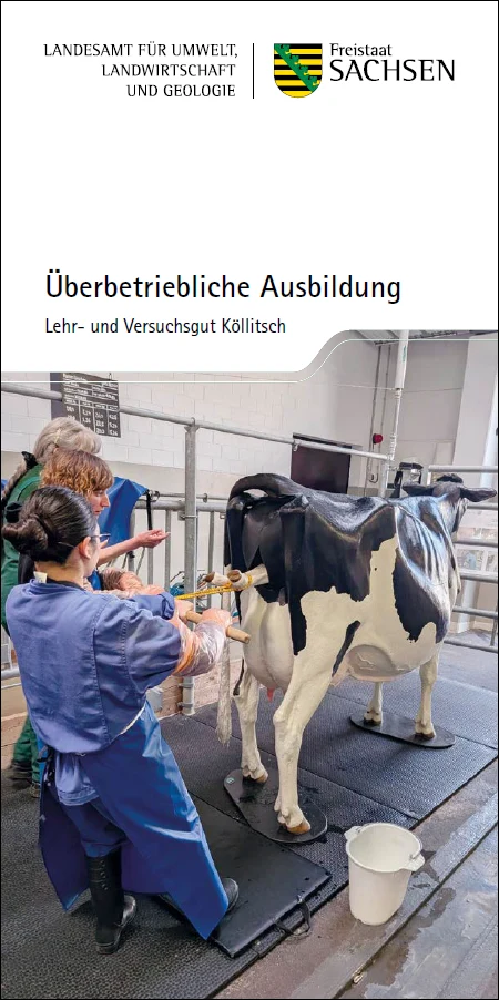 Flyer zur Überbetrieblichen Ausbildung