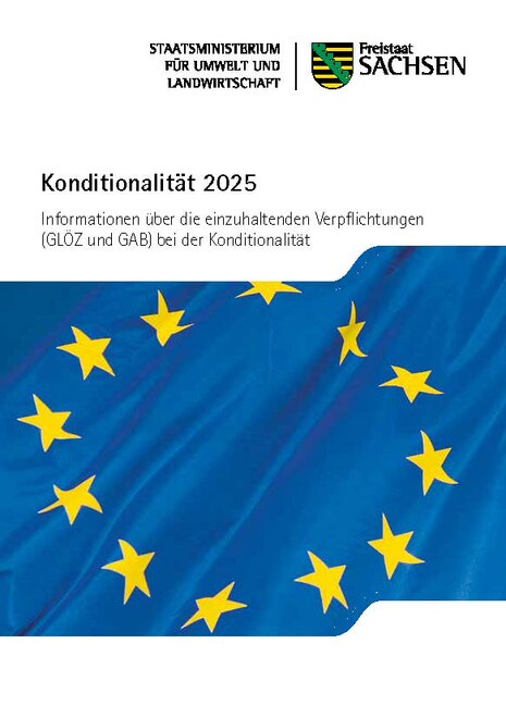 Broschüre Konditionalität 2025 Titelseite mit Europaflagge
