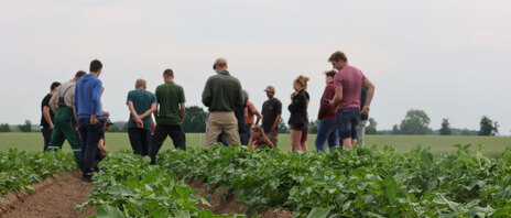 Gruppe auf Feld