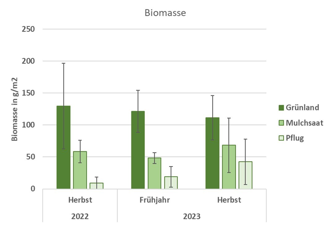 Regenwurmbiomasse aus den Jahren 2022 und 2023