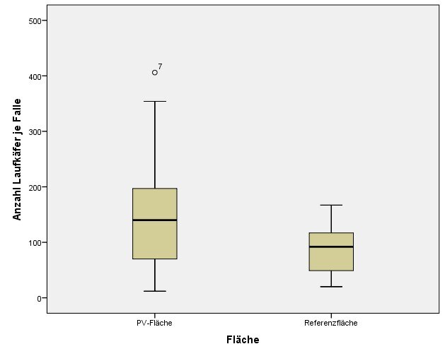 Boxplotdiagramm der Laufkäferanzahl je Falle und Fläche