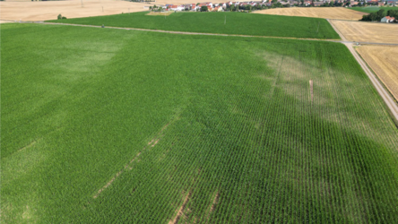 Drohnenfoto einer landwirtschaftlichen Nutzfläche