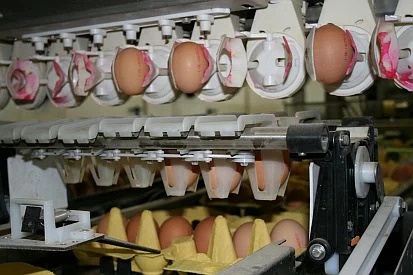 Verpacken von Eiern