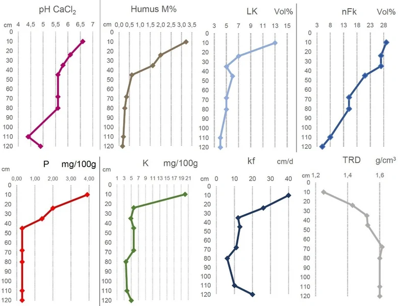 Bodeneigenschaften Ackerkratzdistelmonitoring LWB Kai Pönitz