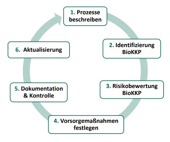 Darstellung zur Erstellung eines Vorsorgekonzeptes
