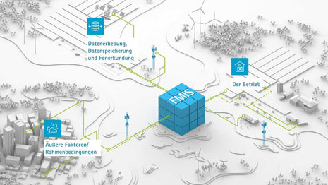 grafische Darstellung des zentralen FMIS