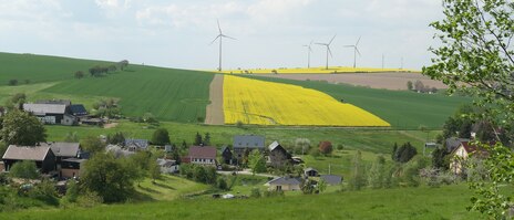 Frühlingslandschaft mit blühendem Raps