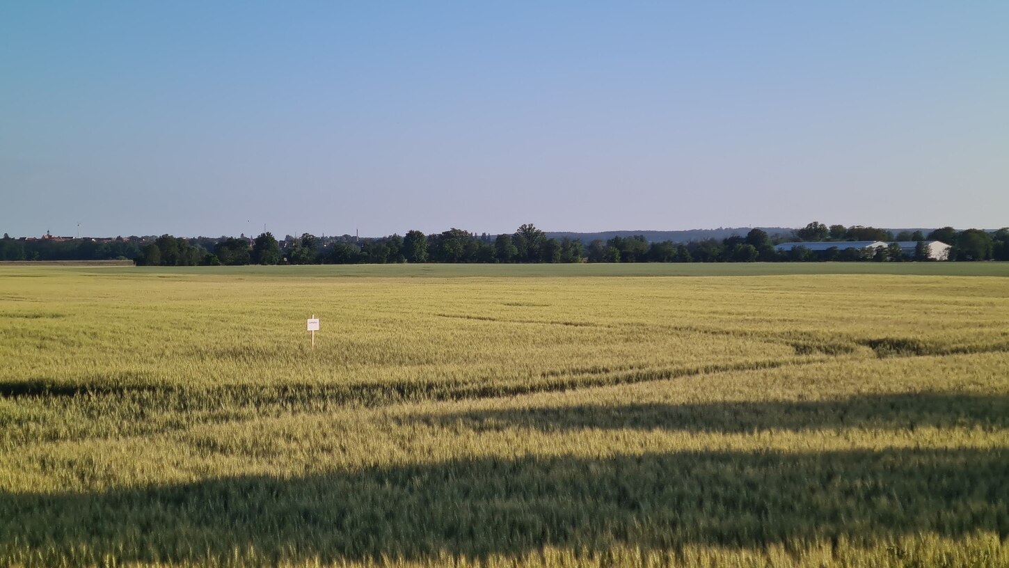 Flurfahrt für Jedermann