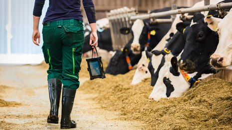 Frau_mit_Tablet_imStall