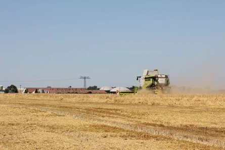 Mähdrescher erntet Wintergerste