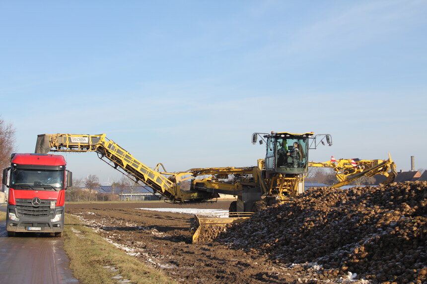Zuckerrübenverladung