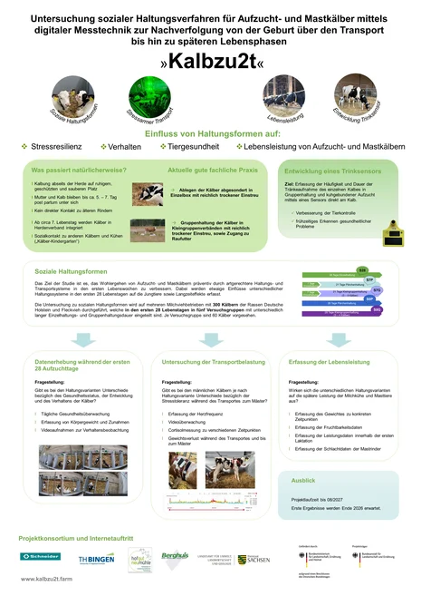 Poster über Kalbzu2