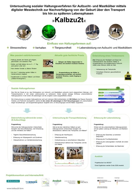 Poster über Kalbzu2