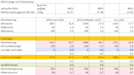 ökonomische Analysen Kalkulationstabelle unscharf
