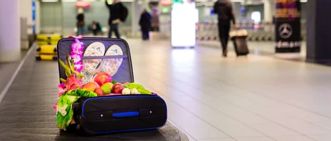 Koffer auf Kofferband gefüllt mit Früchten