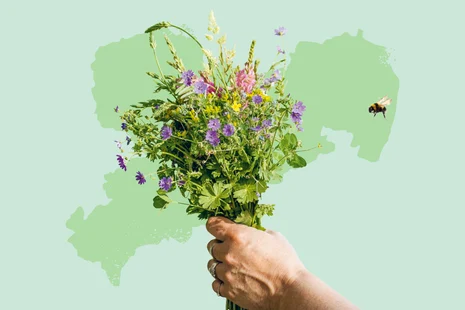 Teaserbox Praxislabor Biodiversität Kompetenzzentrum Ökologischer Landbau Teaserbox Praxislabor Biodiversität Kompetenzzentrum Ökologischer Landbau