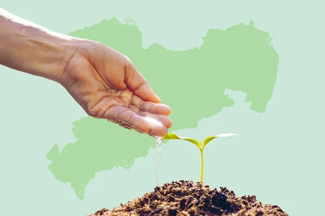 Teaserbox Praxislabor Klima Kompetenzzentrum Ökologischer Landbau Teaserbox Praxislabor Klima Kompetenzzentrum Ökologischer Landbau