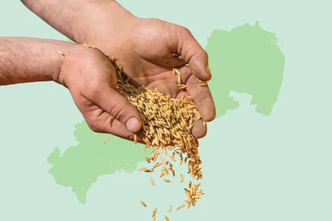 Teaserbox Praxislabor Pflanzenbau Kompetenzzentrum Ökologischer Landbau Teaserbox Praxislabor Pflanzenbau Kompetenzzentrum Ökologischer Landbau