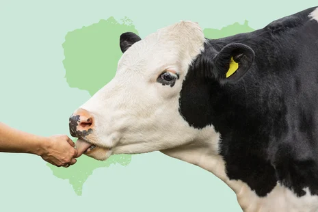 Teaserbox Praxislabor Tierhaltung Kompetenzzentrum Ökologischer Landbau Teaserbox Praxislabor Tierhaltung Kompetenzzentrum Ökologischer Landbau