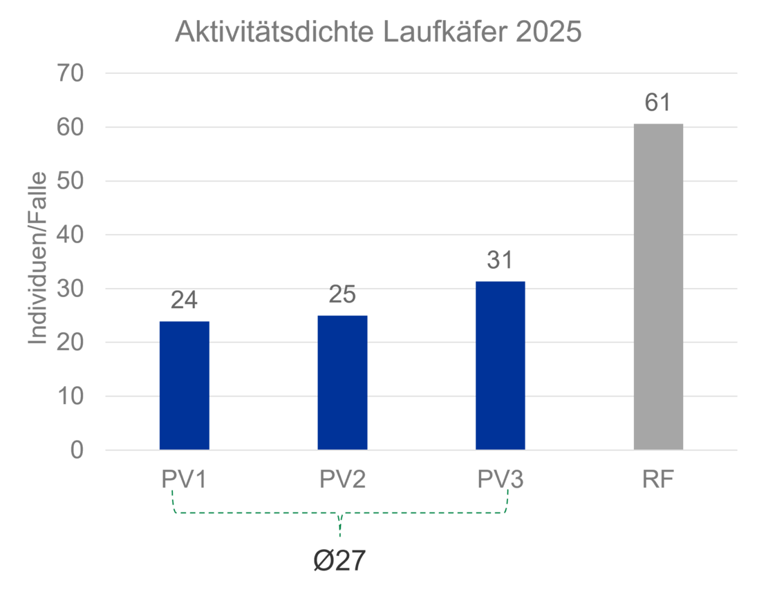 Aktivitätsdichte der Laufkäfer an den verschiedenen Messpunkten in der PV-Anlage und der Referenzfläche