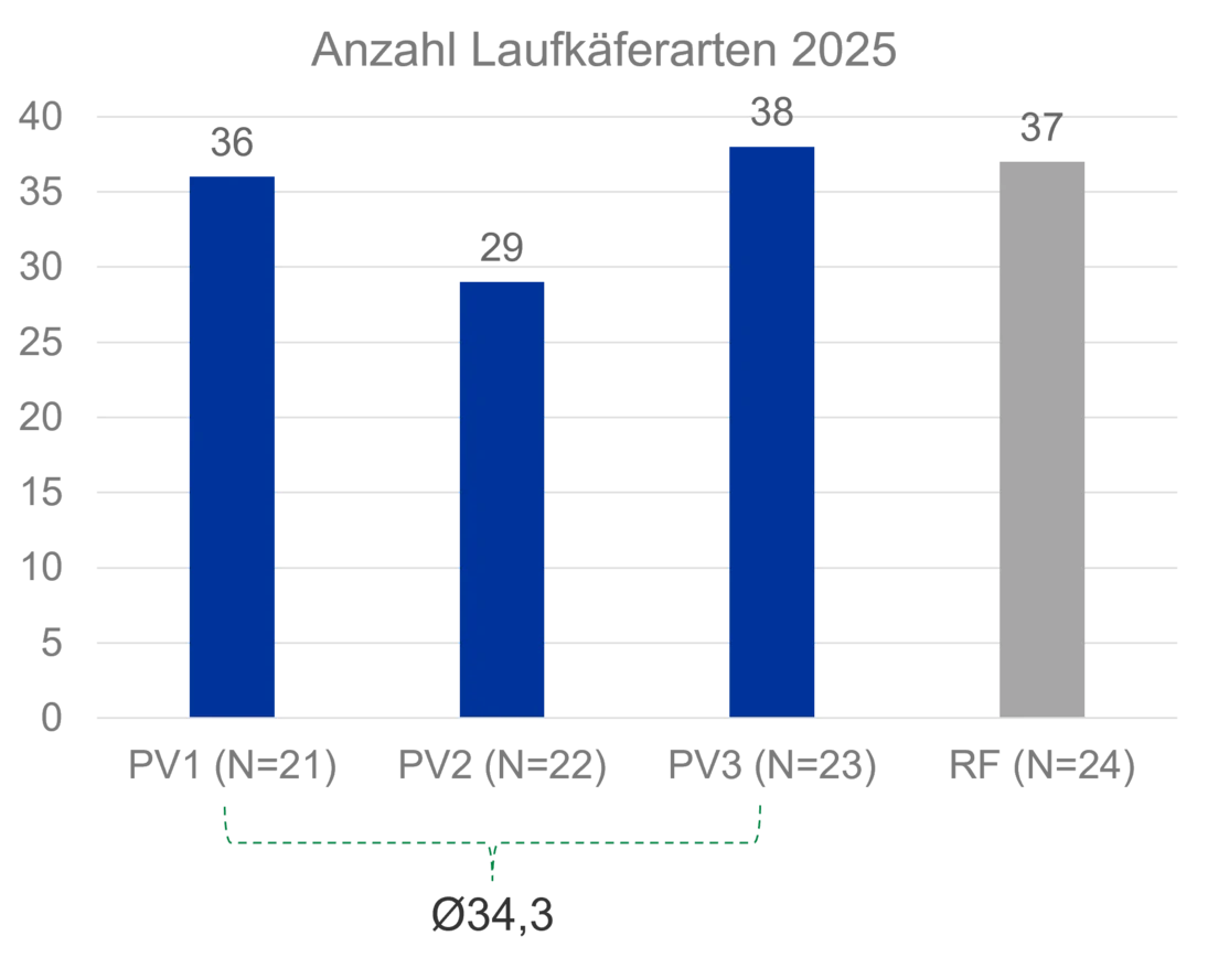 Anzahl an Laufkäferarten an den verschiedenen Messpunkten in der PV-Anlage und der Referenzfläche