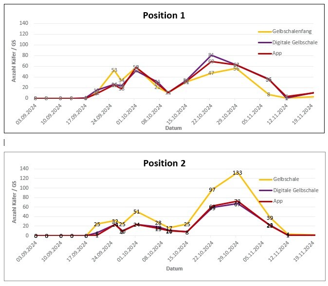 Grafiken Vergleich Gelbschalen