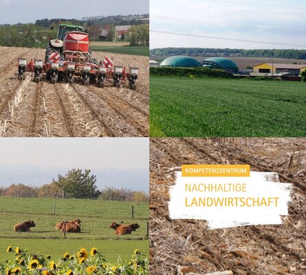 Collage Nachhaltige Landwirtschaft