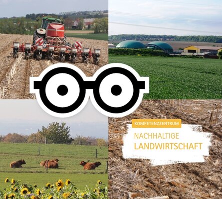 Collage Nachhaltige Landwirtschaft