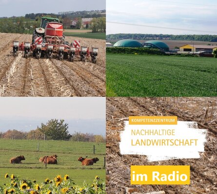 Collage Nachhaltige Landwirtschaft