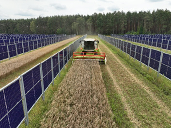 Mähdrescher in Agri-PV-Anlage