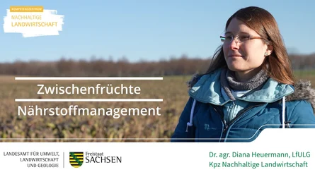 Werbebild_Film_Zwischenfrüchte