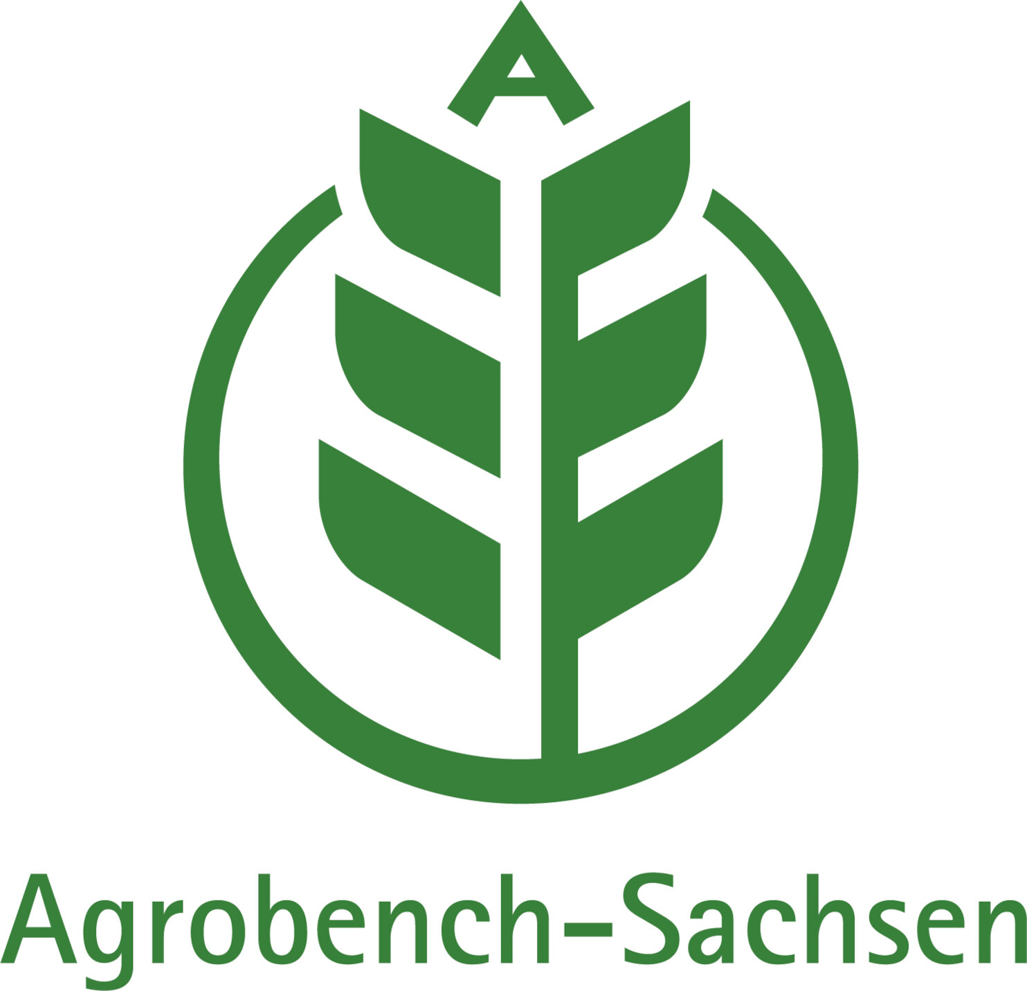 Eine Getreideähre, die in der Spitze den Buchstaben A enthält und von einem Kreis umgeben ist. Darunter befindet sich der Schriftzug Agrobench-Sachsen. Die Farbe des Logos ist grün auf weißem Grund.